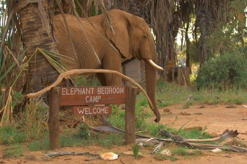 Elephant Bedroom Camp Archers Post Exterior foto